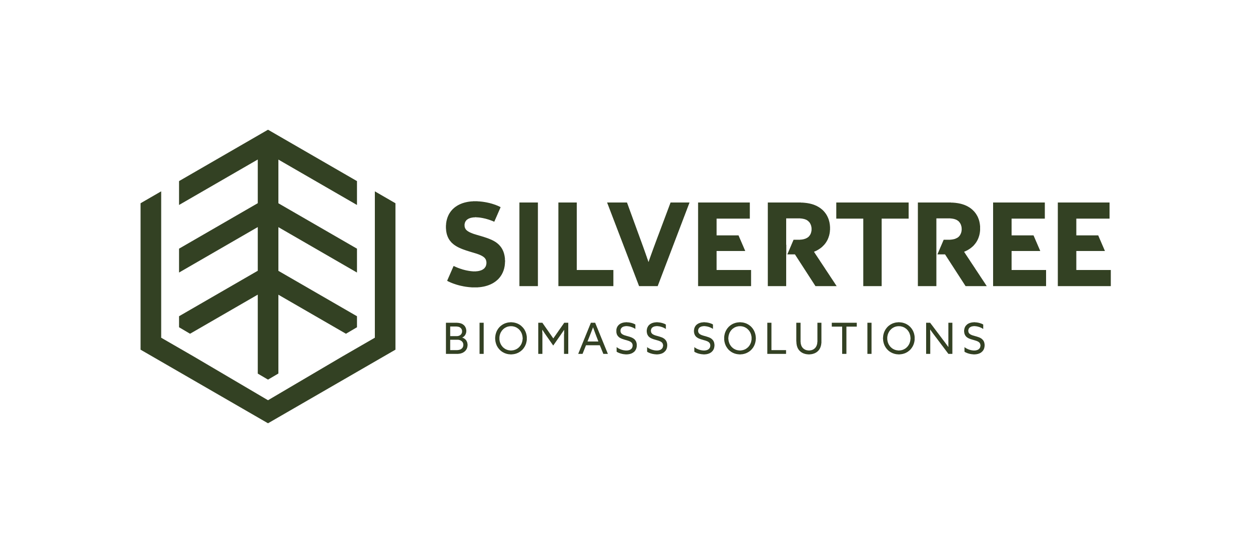SILVERTREE BIOMASS (FINAL LOGO)H